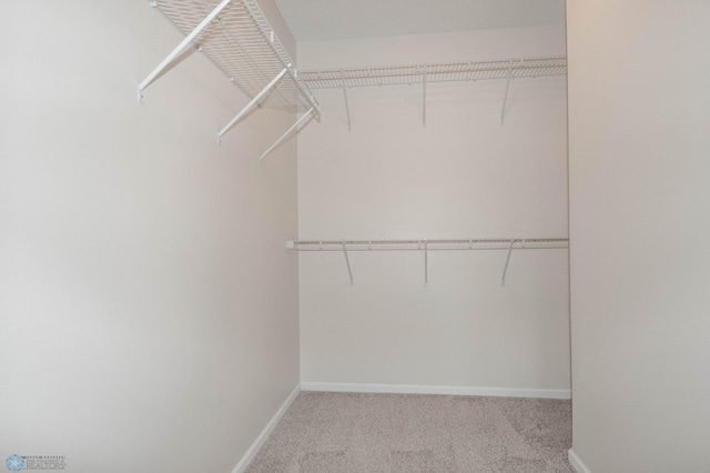1381 Westport Beach Way W, Fargo, ND 58078 - walk in closet featuring carpet flooring