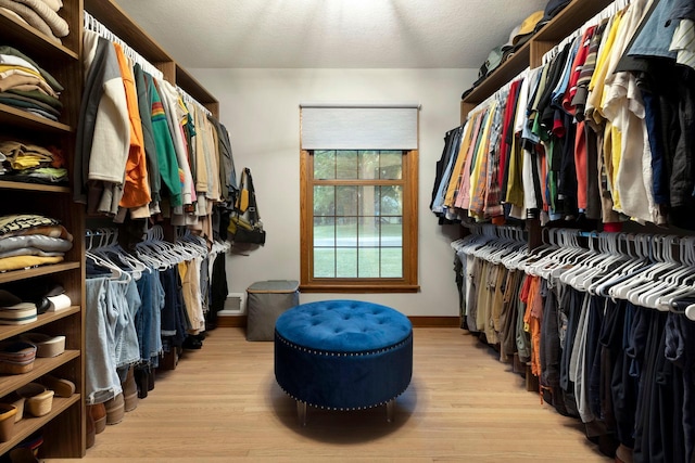 18201 Kathleene Dr, Minnetonka, MN 55345 - spacious closet featuring light wood-type flooring
