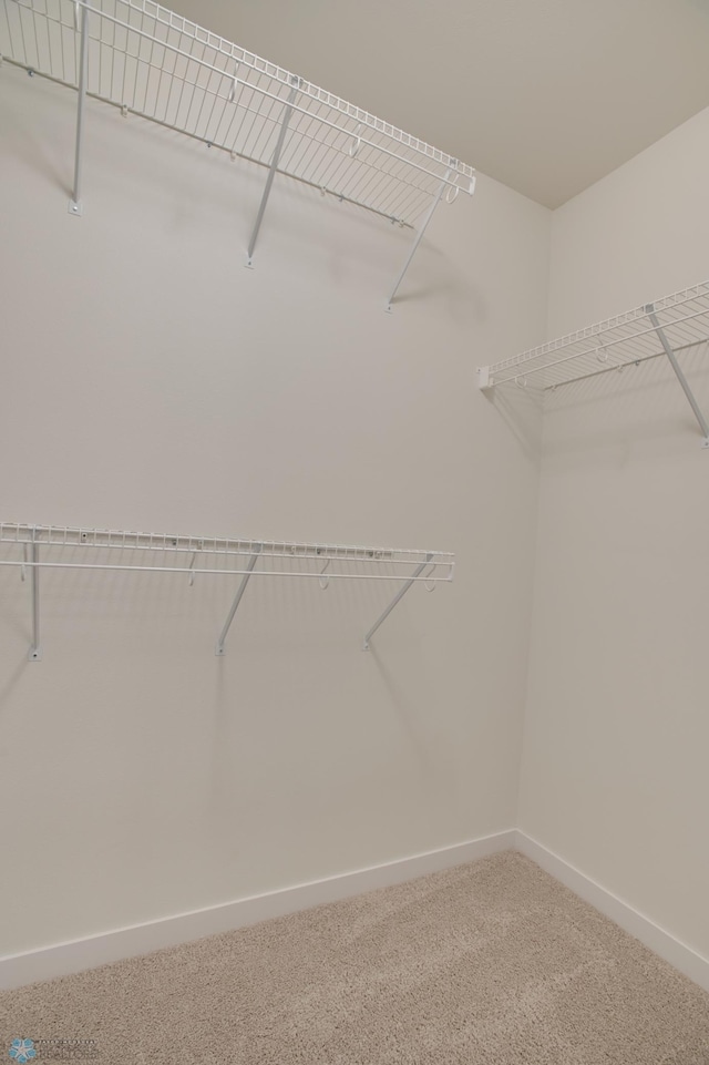6153 Martin Ln W, West Fargo, ND 58078 - walk in closet with carpet floors