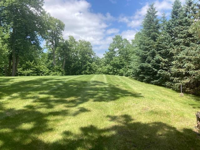 TBD Basswood Trail, Glenwood, MN 56334 - photo 1