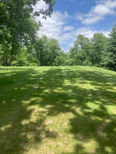 TBD Basswood Trail, Glenwood, MN 56334 - photo 2