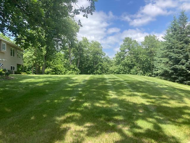 TBD Basswood Trail, Glenwood, MN 56334 - photo 3