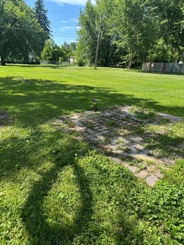 413 3rd Ave SE, Baudette, MN 56623 - view of yard