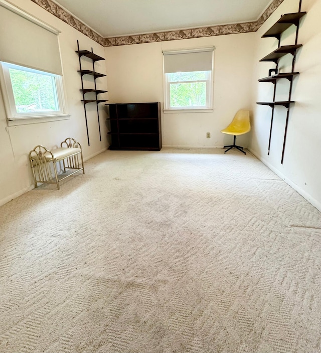 413 3rd Ave SE, Baudette, MN 56623 - unfurnished room with carpet floors
