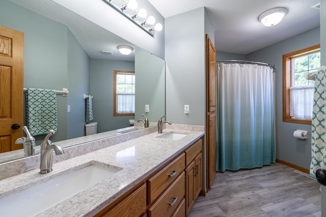 20255 215th Ave NW, Big Lake Twp, MN 55309 - full bath featuring double vanity, wood finished floors, and a shower with curtain