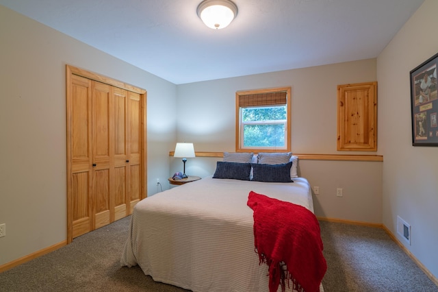 20255 215th Ave NW, Big Lake Twp, MN 55309 - bedroom with carpet flooring and a closet