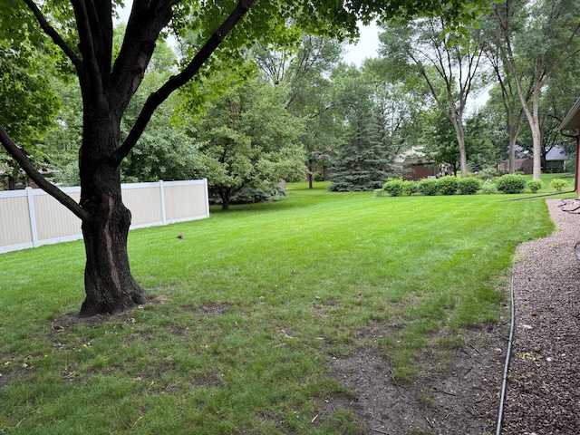 605 Arbor Ct, Marshall, MN 56258 - view of yard