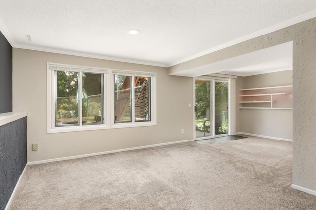 2217 73rd Ct N, Brooklyn Park, MN 55444 - unfurnished living room featuring carpet, crown molding, and a textured ceiling