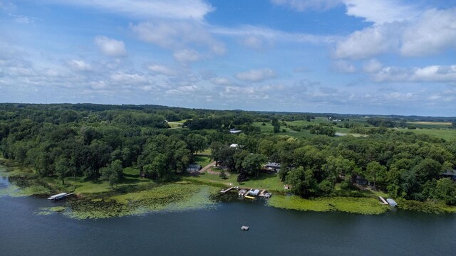 25162 729th Ave, Dassel, MN 55325 - photo 47