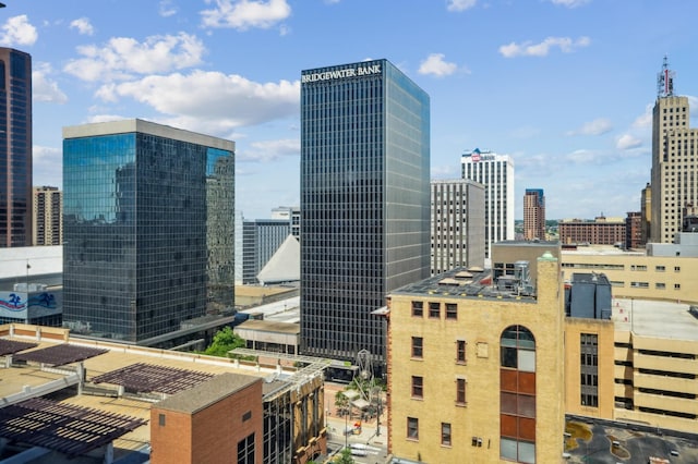 350 Saint Peter St Unit 1110, Saint Paul, MN 55102 - skyline view