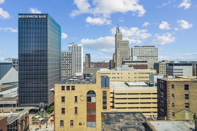 350 Saint Peter St Unit 1110, Saint Paul, MN 55102 - view of city