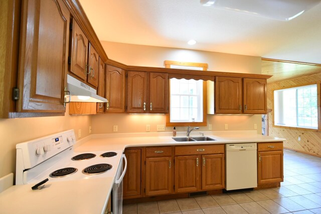 240 6th St SW, Pine Island, MN 55963 - photo 19