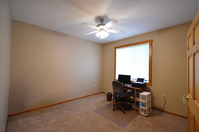 240 6th St SW, Pine Island, MN 55963 - photo 28