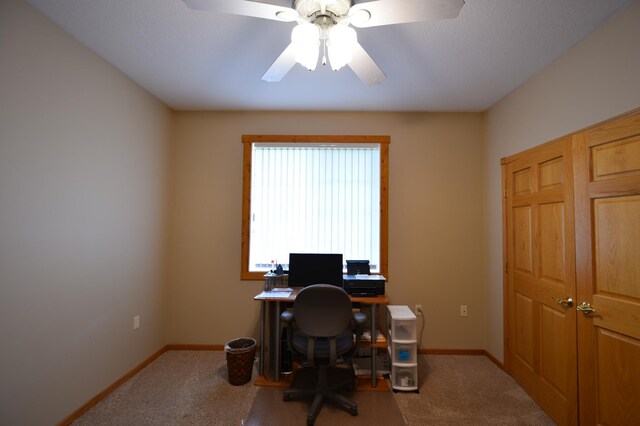 240 6th St SW, Pine Island, MN 55963 - photo 29