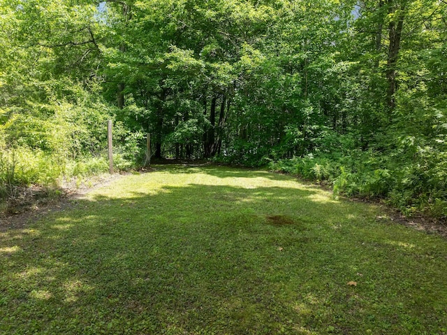 33084 Portage Trl, Grand Rapids, MN 55744 - photo 60