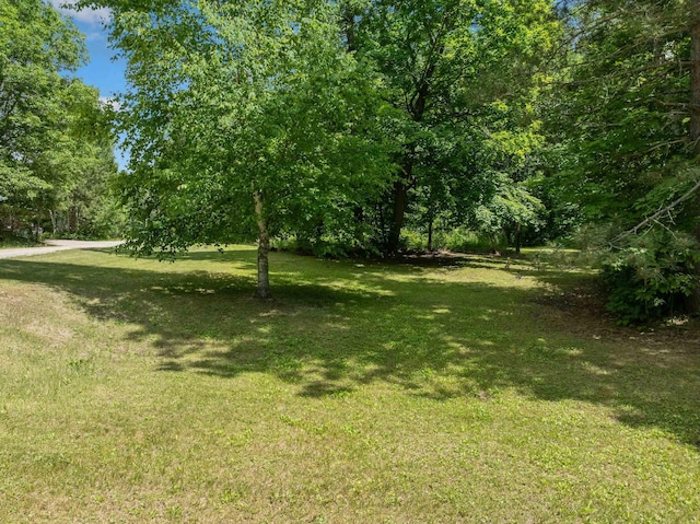 33084 Portage Trl, Grand Rapids, MN 55744 - photo 61