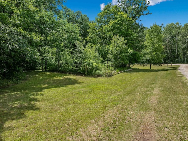 33084 Portage Trl, Grand Rapids, MN 55744 - photo 63
