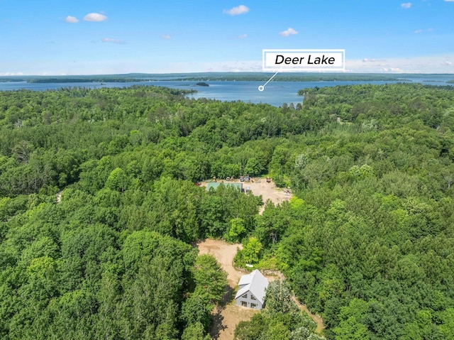 33084 Portage Trl, Grand Rapids, MN 55744 - photo 3