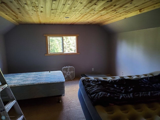 5358 Rd 51, White Twp, MN 55705 - photo 8