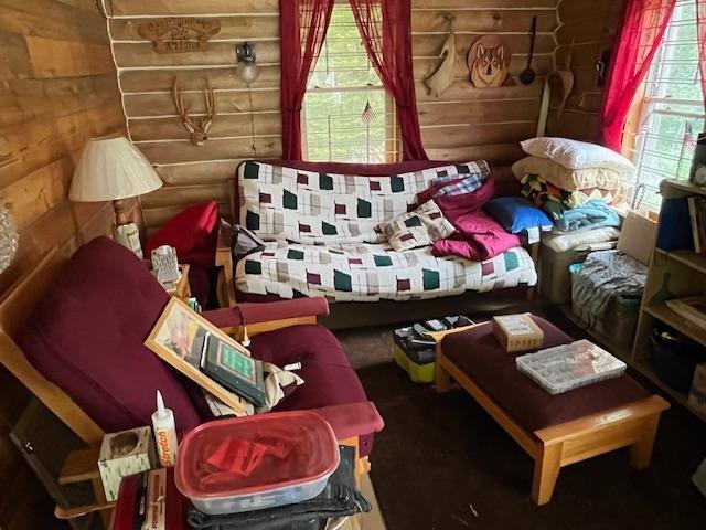 2217 Michaels Beach Rd, Ellsburg Twp, MN 55738 - photo 8