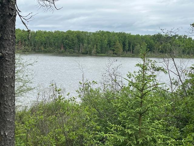 2217 Michaels Beach Rd, Ellsburg Twp, MN 55738 - photo 29