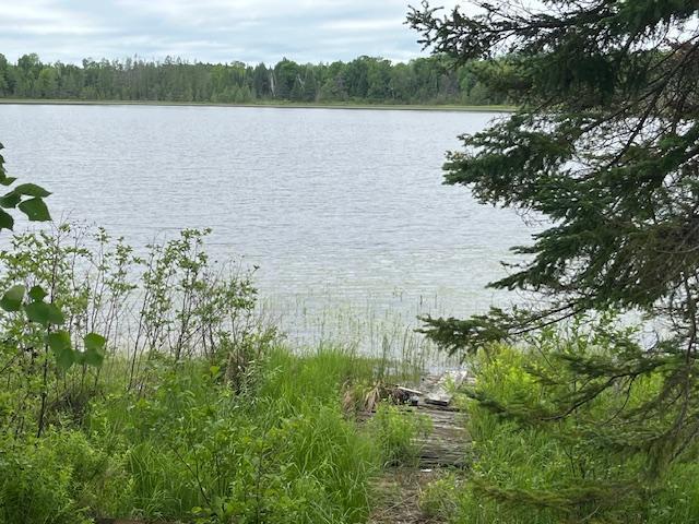 2217 Michaels Beach Rd, Ellsburg Twp, MN 55738 - photo 30