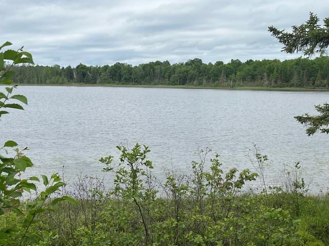 2217 Michaels Beach Rd, Ellsburg Twp, MN 55738 - photo 31