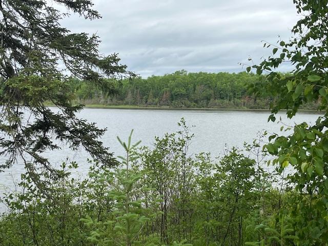 2217 Michaels Beach Rd, Ellsburg Twp, MN 55738 - photo 32