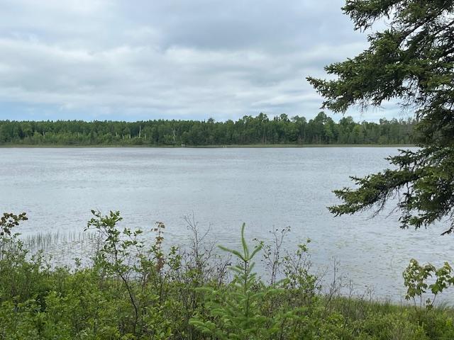 2217 Michaels Beach Rd, Ellsburg Twp, MN 55738 - photo 33