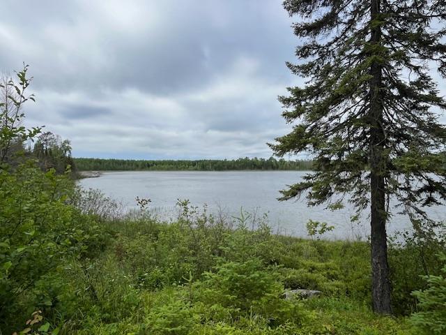 2217 Michaels Beach Rd, Ellsburg Twp, MN 55738 - photo 34