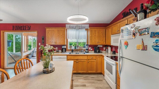 234 17th Ave SE, Saint Joseph, MN 56374 - kitchen with white appliances, healthy amount of natural light, light countertops, and light wood-type flooring