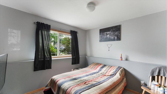 234 17th Ave SE, Saint Joseph, MN 56374 - bedroom featuring baseboards and carpet flooring