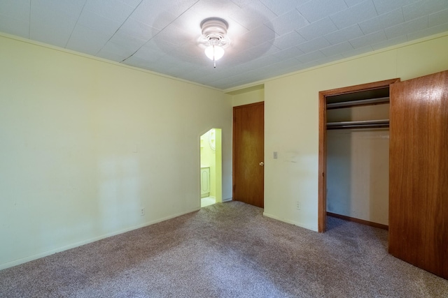 421 Moore St, Blue Earth, MN 56013 - unfurnished bedroom featuring carpet and a closet