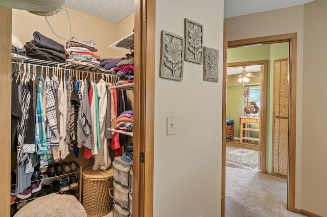 6469 Deerwood Ln N, Maple Grove, MN 55369 - spacious closet with carpet and a ceiling fan