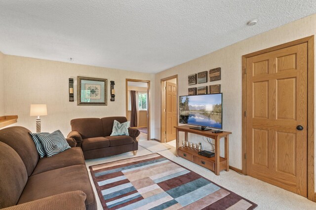 6469 Deerwood Ln N, Maple Grove, MN 55369 - living area with carpet and a textured ceiling
