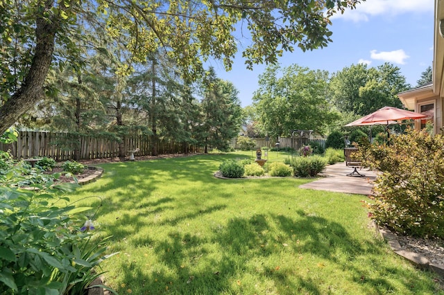 6469 Deerwood Ln N, Maple Grove, MN 55369 - fenced backyard featuring a patio and view of scattered trees