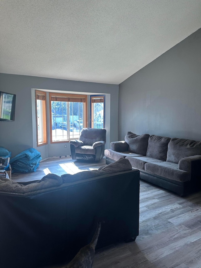 11162 Olympia Ave, Becker, MN 55308 - living room with wood finished floors and a textured ceiling