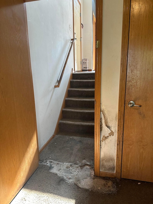 11162 Olympia Ave, Becker, MN 55308 - stairway featuring carpet floors
