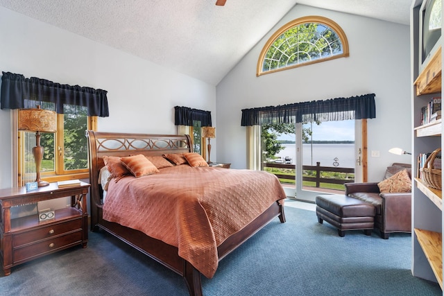 2282 71st St, Georgetown Twp, WI 54853 - bedroom featuring access to exterior, carpet flooring, high vaulted ceiling, multiple windows, and a water view