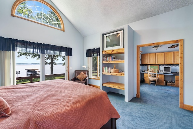 2282 71st St, Georgetown Twp, WI 54853 - carpeted bedroom with high vaulted ceiling