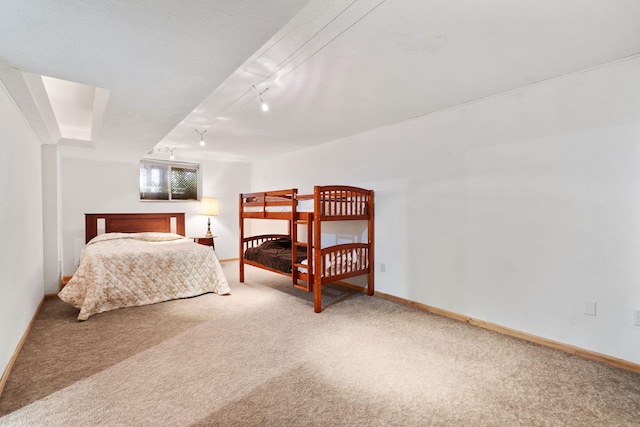 2282 71st St, Georgetown Twp, WI 54853 - bedroom with carpet and rail lighting