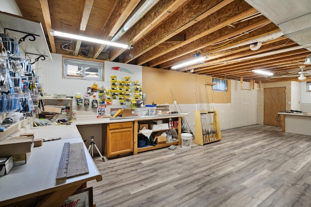 2282 71st St, Georgetown Twp, WI 54853 - basement with a workshop area and light wood-style flooring