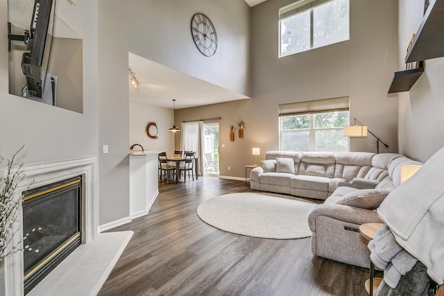16835 78th Pl N, Maple Grove, MN 55311 - living room with a high ceiling, wood finished floors, and a glass covered fireplace
