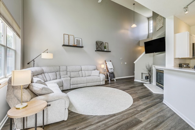 16835 78th Pl N, Maple Grove, MN 55311 - living room featuring dark wood finished floors, a glass covered fireplace, a towering ceiling, and wine cooler