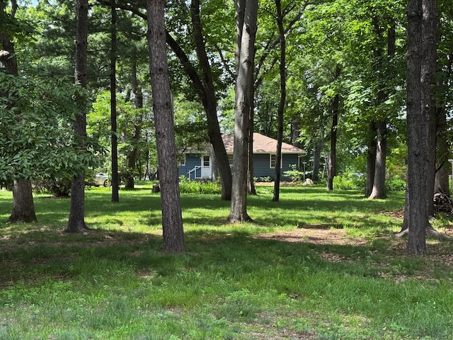 6053 Linwood Dr NE, Linwood Twp, MN 55092 - view of grassy yard