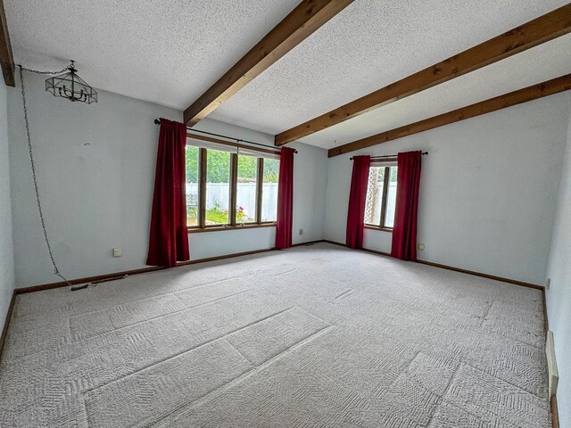 607 1st St, Marshall, MN 56258 - unfurnished room featuring a textured ceiling and light carpet