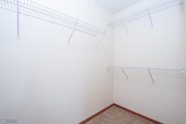 3661 Taylor St S, Fargo, ND 58104 - spacious closet featuring carpet floors