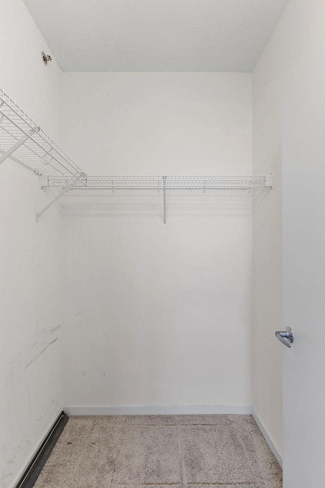 929 Portland Ave Unit 2106, Minneapolis, MN 55404 - walk in closet with carpet