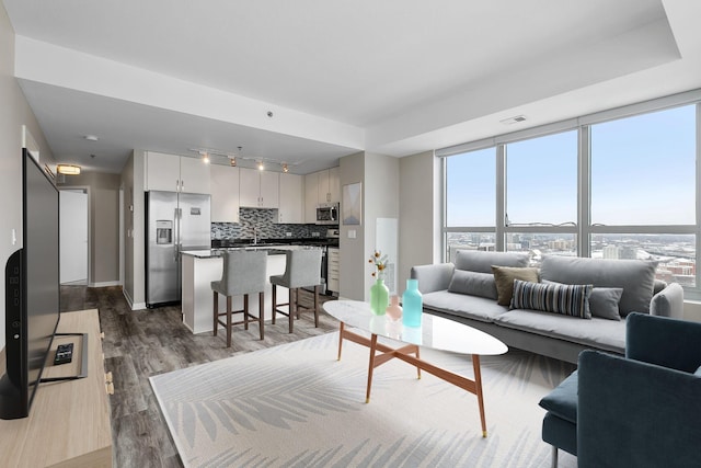 929 Portland Ave Unit 2106, Minneapolis, MN 55404 - living room featuring dark wood-style floors, healthy amount of natural light, and rail lighting
