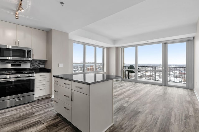 929 Portland Ave Unit 2106, Minneapolis, MN 55404 - kitchen featuring stainless steel appliances, wood finished floors, dark countertops, tasteful backsplash, and expansive windows